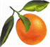 orange station icon