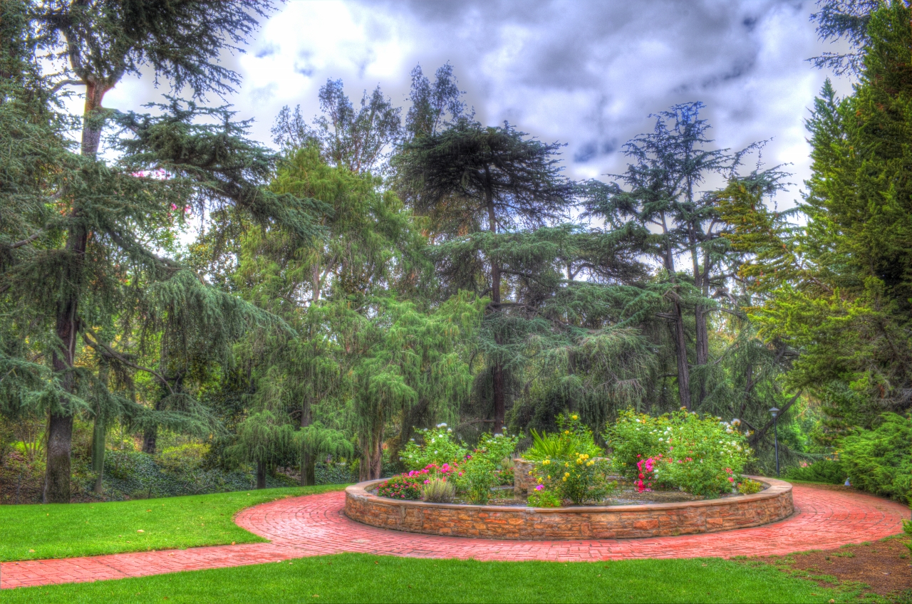 Mauricio Rangel Penn Park Planter Week of 3-13-15